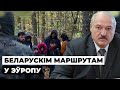 Чаму мігранты ідуць «беларускім маршрутам» / Почему мигранты идут белорусским маршрутом