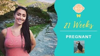 Welsh Chilli, Puffin Island, Pregnancy Mask | Week 21 | My Pregnancy Vlog ?