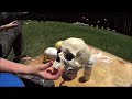 Making skulls using our silicone skull mold