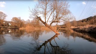 Oberer Neckar Kajak 2019