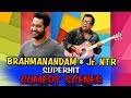 Brahmanandam & Jr NTR Superhit Comedy Scenes | South Hindi Dubbed Best Comedy Scenes