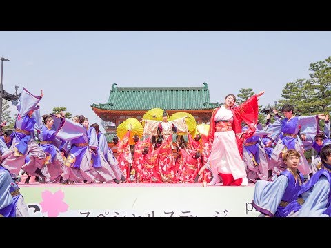 [4K] 同志社大学 京都よさこい連 心粋　京都さくらよさこい 2019 1日目 神宮道 さくよさ (中央)