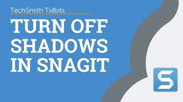 Turn Shadows Off in Snagit