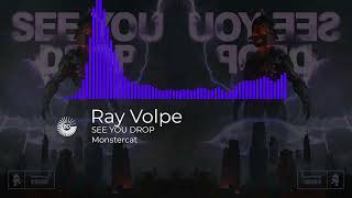 Ray Volpe - SEE YOU DROP