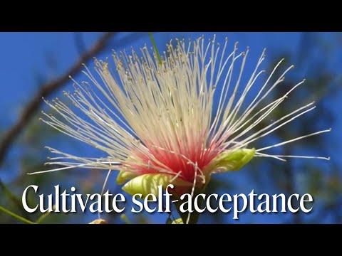 Australian Bush Flower Essences You