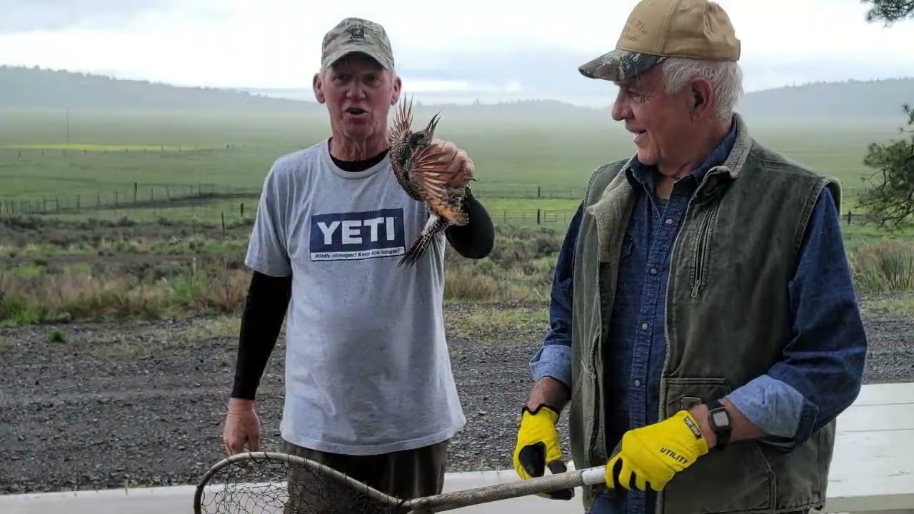 Crane Creek Ranch May 2022