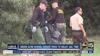 Green Acre kennel owner tries to delay jail time after 2014 dog deaths