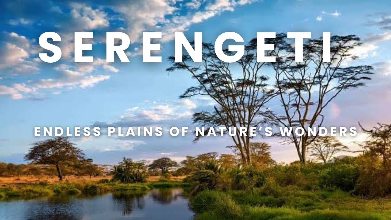 4K SERENGETI - ENDLESS PLAINS OF NATURE'S WONDERS