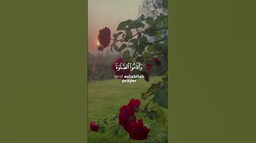 سورة الرعد بصوت عذب للشيخ ياسر الدوسري { استمتعوا بالاستماع }🩶