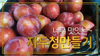 자두청만들기~ 자두에이드만들기