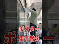 最新弾発売直前のブックアイランドの様子#vlog #カードショップ店員 #作業内容