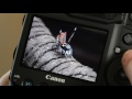 Hand held focus stacking tutorial using the Canon 1dx mk2 and mpe65