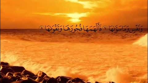 سورة الشمس القارئ رعد الكردي  قرائة جميلة