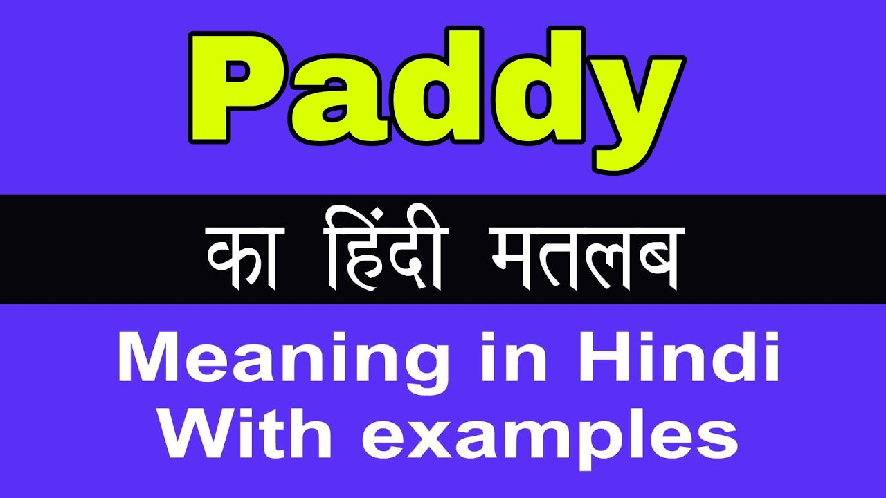 paddy-meaning-in-hindi-paddy-ka-matlab-kya-hota-hai-youtube