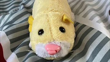 Are Zhu Zhu Pets battery operated?