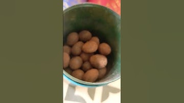 😋 ASMR CACAO-DUSTED ALMOND #harrods #shorts #sweet | CRISTINA CLUTARIO