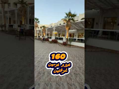 كم يكلف فندق 4 نجوم بشرم الشيخ بمصر