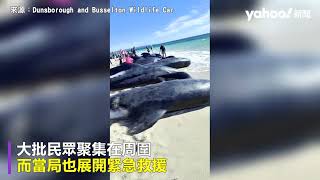 西澳再發生鯨魚大規模擱淺 直擊140頭鯨魚海灘掙扎求生、26頭已死亡｜Yahoo Hong Kong