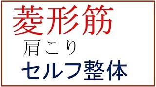 肩こりセルフ整体【菱形筋】筋肉をゆるめる整体「ミオンパシー」いぎあ☆すてーしょん