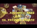 🔮ЧТО ХОРОШЕГО ЖДЕТ ТЕБЯ НА ТЕКУЩЕЙ НЕДЕЛЕ /Таро Прогноз/Расклад Таро ❤️tarot for the soul