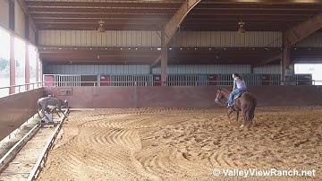 Cats Mud Slinger - working the mechanical cow #4 - Valley View Ranch