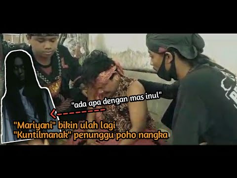 Video: Ada apa dengan mutt?