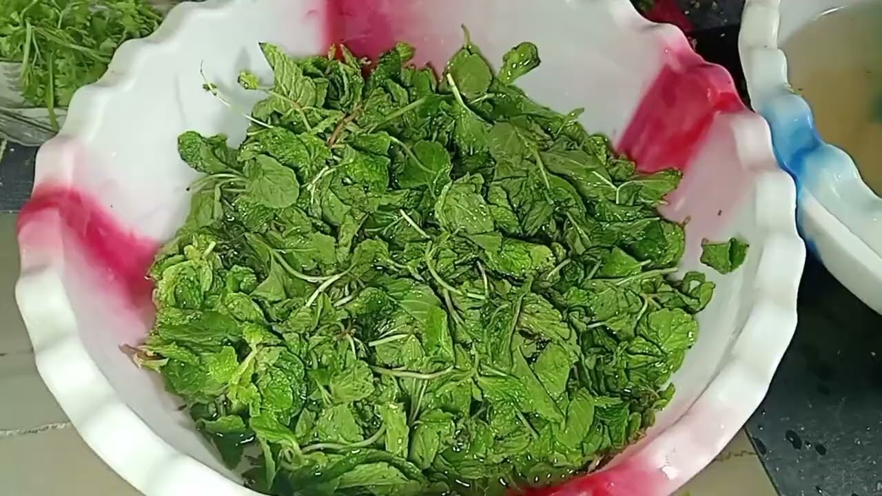 #78 How to store kothmir (coriander leaves) pudina (mint leaves) for long time (Ramzan series-ep-10)