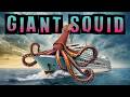 Giant Squid Adventure Quiz