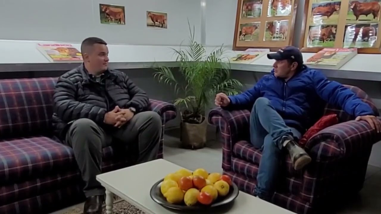 Arturo Cuturi at La Rhone explains why the Limousin plays such an important role in their stud.