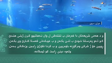 تحسین دوسكى - ته‌فسیرا (سورة البَينَة)