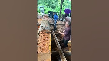 Efficient log chopping with axes