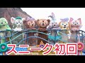 【スニーク初回】ダッフィー＆フレンズのスマイル＆ファン　2023.7.3 1st