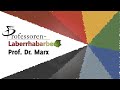 Suche Nach Dem Glück Prof Marx Beim Feki De Professoren Laberrhabarber 2016