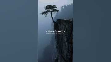 أرح سمعك  😴🎧 ـ سوره المزمل ـ عبد الرحمن مسعد ـ «صلوا على النبي» #قرآن #عبدالرحمن_مسعد #quran #funny 