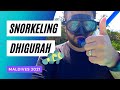 Snorkeling in Dhigurah House Reef