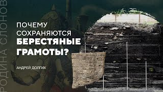 видео: Почему сохраняются берестяные грамоты? Андрей Долгих. Родина слонов №295 картинка: Почему сохраняются берестяные грамоты? Андрей Долгих. Родина слонов №295