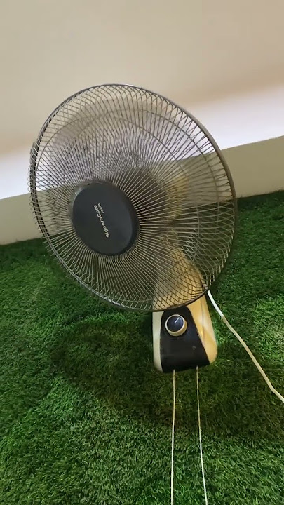 Fan short videos #fannyvideo #funny #fans #ceilingfan #haha
