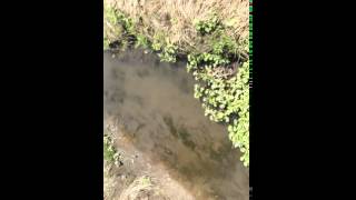 For Real?? Fart During A Back Swing