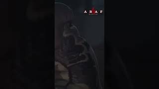 Atandığım Şehre Geldiğim İlk Gün