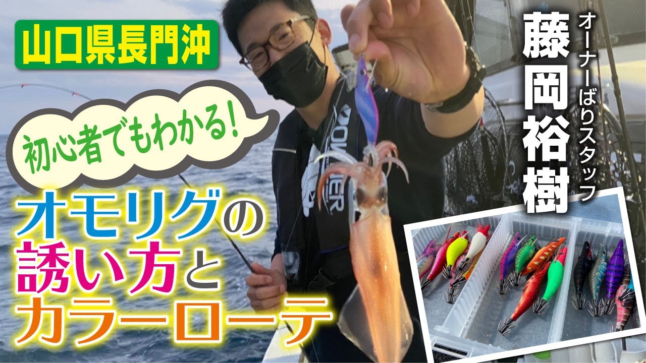 初心者でもわかる！オモリグの誘い方とカラーローテ【山口県長門沖】