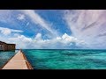 Wildlilfe  Birding Photography Nikon D500 Nikon D810 Nikkor 200-500 Dry Tortugas