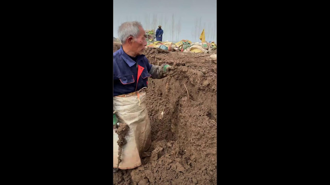 ♥️LIVE ♥️ Chinese street food💗