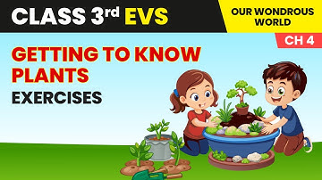 Getting to Know Plants - Exercises | Class 3 Environmental Studies Chapter 4 | CBSE 2025-26
