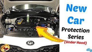 New Car Protection Series at Home....UNDER The HOOD Tips and Tricks for your new Car, SUV or Truck