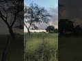 tá vindo chuva #viral #sertão #toada #viralvideo