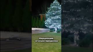 Мерцающие огоньки праздника