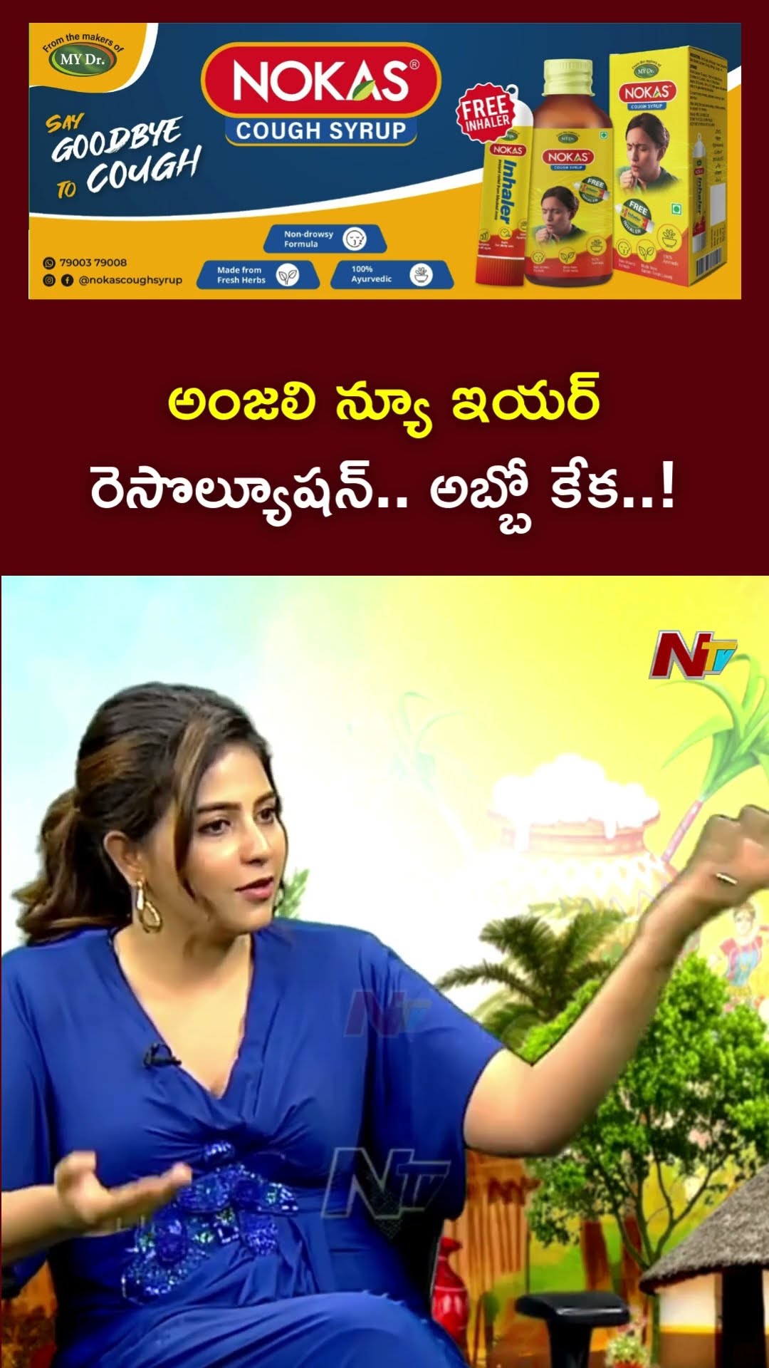 Actress Anjali About other Actors Movies | Balayya | Ramcharan | Venkatesh | Ntv