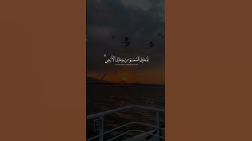 #عبدالباسط_عبدالصمد#تلاوة #آيات #القرآن_الكريم#تلاوة_خاشعة #القرآن#تلاوات#quran#قرآن #قران_كريم#ايات
