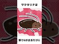 普通にセコだよね??? #サクラリナ #vtuber #新人vtuber #あるある #雑学 #shorts #おすすめ