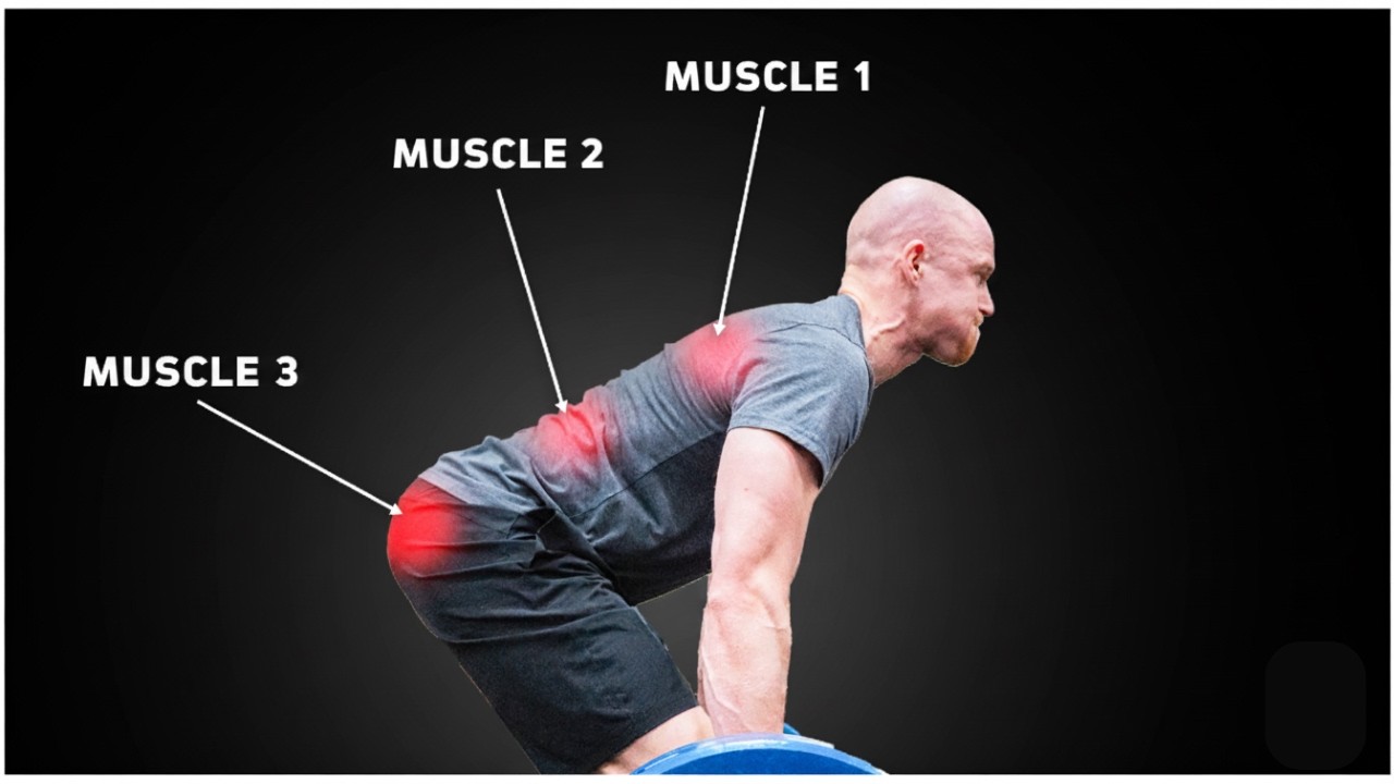 Les 3 Muscles qui SAUVENT TON DOS en Deadlift (et comment bien les bosser)